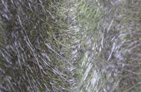 Crosskirk fibreglass roof work